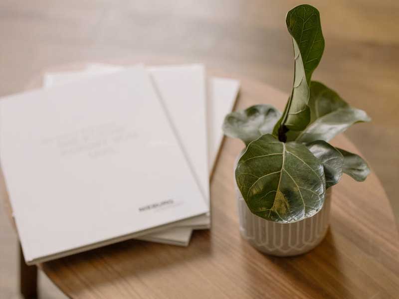 A small houseplant beside neatly stacked minimalist books on a clean wood table, reflecting Lenuma’s calm, organized, and natural home care aesthetic.
