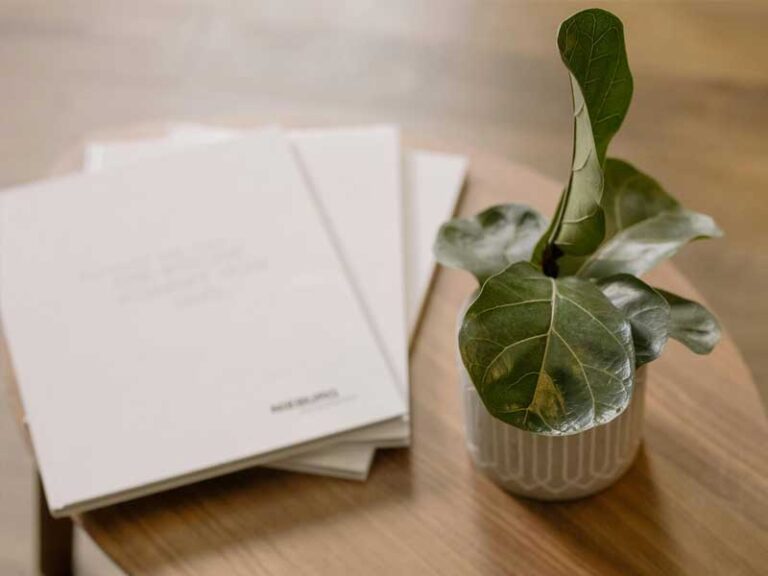 A small houseplant beside neatly stacked minimalist books on a clean wood table, reflecting Lenuma’s calm, organized, and natural home care aesthetic.