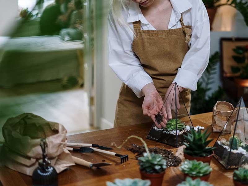 A person tending to indoor plants in a bright, tidy home, symbolizing Lenuma’s caring, nurturing approach to home environments.